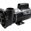 Waterway Executive 3 HP 2-Speed 230V Spa Pump - 56 Frame - 3721221-1D -Art Swimming Pool 3721221 1d