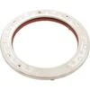 Stainless Steel Face Ring With Clamp And Gasket For 5G White LED Lights -Art Swimming Pool 600095 xl