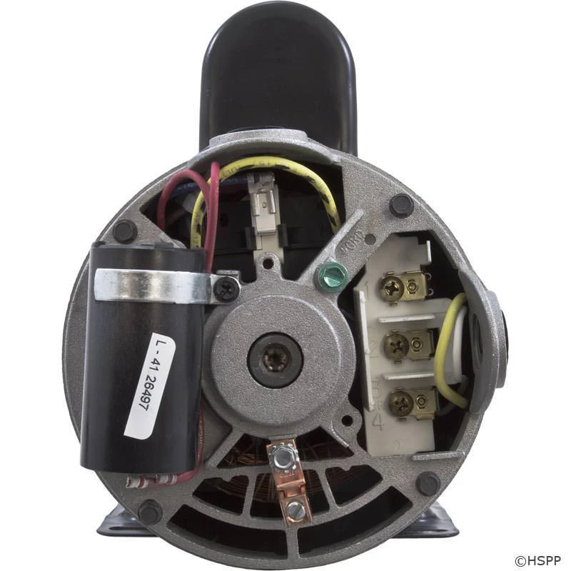 BN62 2-Speed 3 HP Pool Pump Motor 48Y Frame Thru-Bolt 230V 7 BN62 2-Speed 3 HP Pool Pump Motor 48Y Frame Thru-Bolt 230V - Image 5