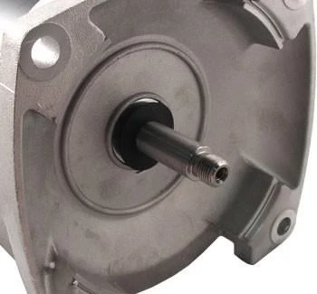 B2844 Pool Pump Motor 56Y Frame 3 HP Square Flange Energy Efficient 230V 3 B2844 Pool Pump Motor 56Y Frame 3 HP Square Flange Energy Efficient 230V