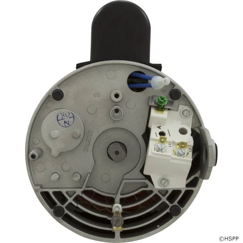 B2844 Pool Pump Motor 56Y Frame 3 HP Square Flange Energy Efficient 230V 8 B2844 Pool Pump Motor 56Y Frame 3 HP Square Flange Energy Efficient 230V - Image 6