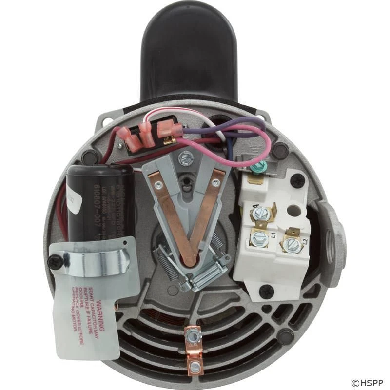 B2982 2-Speed Pool Pump Motor 56Y Frame 1 HP 230V Energy Efficient 6 B2982 2-Speed Pool Pump Motor 56Y Frame 1 HP 230V Energy Efficient - Image 4