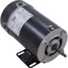 BN36 2-Speed Pump Motor 48Y Frame 3/4 HP Thru-Bolt 115V 1 BN36 2-Speed Pump Motor 48Y Frame 3/4 HP Thru-Bolt 115V -Art Swimming Pool bn36