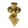 Brass Anchor With Screw For Pool Safety Covers With Wood Deck -Art Swimming Pool brass anchor safety cover for wood deck