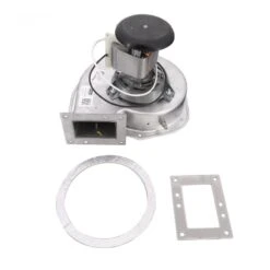 Hayward FDXLBWR1930 H-Series Low Nox FD Combustion Blower