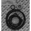 Aladdin Pentair Ultra Flow Pump Repair Kit Go-Kit 20