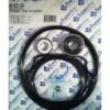 Pentair WhisperFlo Pump Repair Kit - GO-KIT 32 -Art Swimming Pool go kit 32