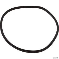 Hayward SPX4000TS Northstar Pump Lid O-Ring (2003-2007)