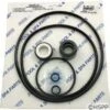 Jacuzzi Magnum Pump Repair Kit Go-Kit 14 1 Jacuzzi Magnum Pump Repair Kit Go-Kit 14 -Art Swimming Pool jacuzzi magnum pump repair kit go kit 14