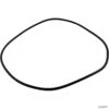 Jandy R0446300 Pump Backplate O-Ring -Art Swimming Pool jandy r0446300 pump backplate o ring