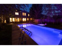 S.R. Smith PoolLux Premier Lighting Control With Remote And 2 Kelo LED 7w Lights -Art Swimming Pool mgvphoto 0211238