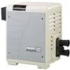 Pentair MasterTemp 250K BTU Propane Pool Heater EC-462027 -Art Swimming Pool pentair master temp 2