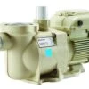 Pentair EC-342001 SuperFlo VS Variable Speed Pool Pump W/Timer - 1.5 HP - 115V/230V 1 Pentair EC-342001 SuperFlo VS Variable Speed Pool Pump W/Timer - 1.5 HP - 115V/230V -Art Swimming Pool pentair 342001 superflo variable speed pump