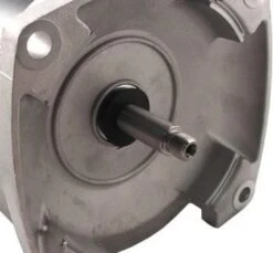 B858, B2858 Pool Pump Motor 56Y Frame 1.5 HP Square Flange 115/230V - Full Rate