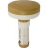Rainbow Floating Spa Chemical Dispenser R171090 -Art Swimming Pool r171090