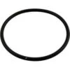 Rainbow R172240 High Capacity Chemical Feeder Lid O-Ring 1 Rainbow R172240 High Capacity Chemical Feeder Lid O-Ring -Art Swimming Pool r172009 1