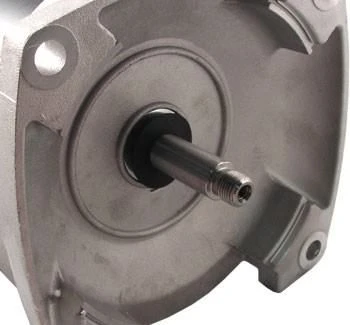 B2841, B2841V1 Pool Pump Motor 56Y Frame 1 HP Square Flange 115/208-230V - Energy Efficient 6 B2841, B2841V1 Pool Pump Motor 56Y Frame 1 HP Square Flange 115/208-230V - Energy Efficient - Image 4