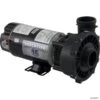 Waterway Executive 1.5 HP 2-Speed 115V 2" Spa Pump - 48 Frame - 3420610-1A -Art Swimming Pool waterway executive 1.5 hp 2 speed 115v spa pump