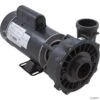 Waterway Executive 3 HP 2-Speed 230V 2" Spa Pump - 48 Frame - 3421221-1A -Art Swimming Pool waterway executive 3 hp 2 speed 230v spa pump