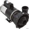 Waterway Executive 4 HP 1-Speed 230V 2" Spa Pump - 56 Frame - 3711621-1D -Art Swimming Pool waterway executive 4 hp 3711621 1d